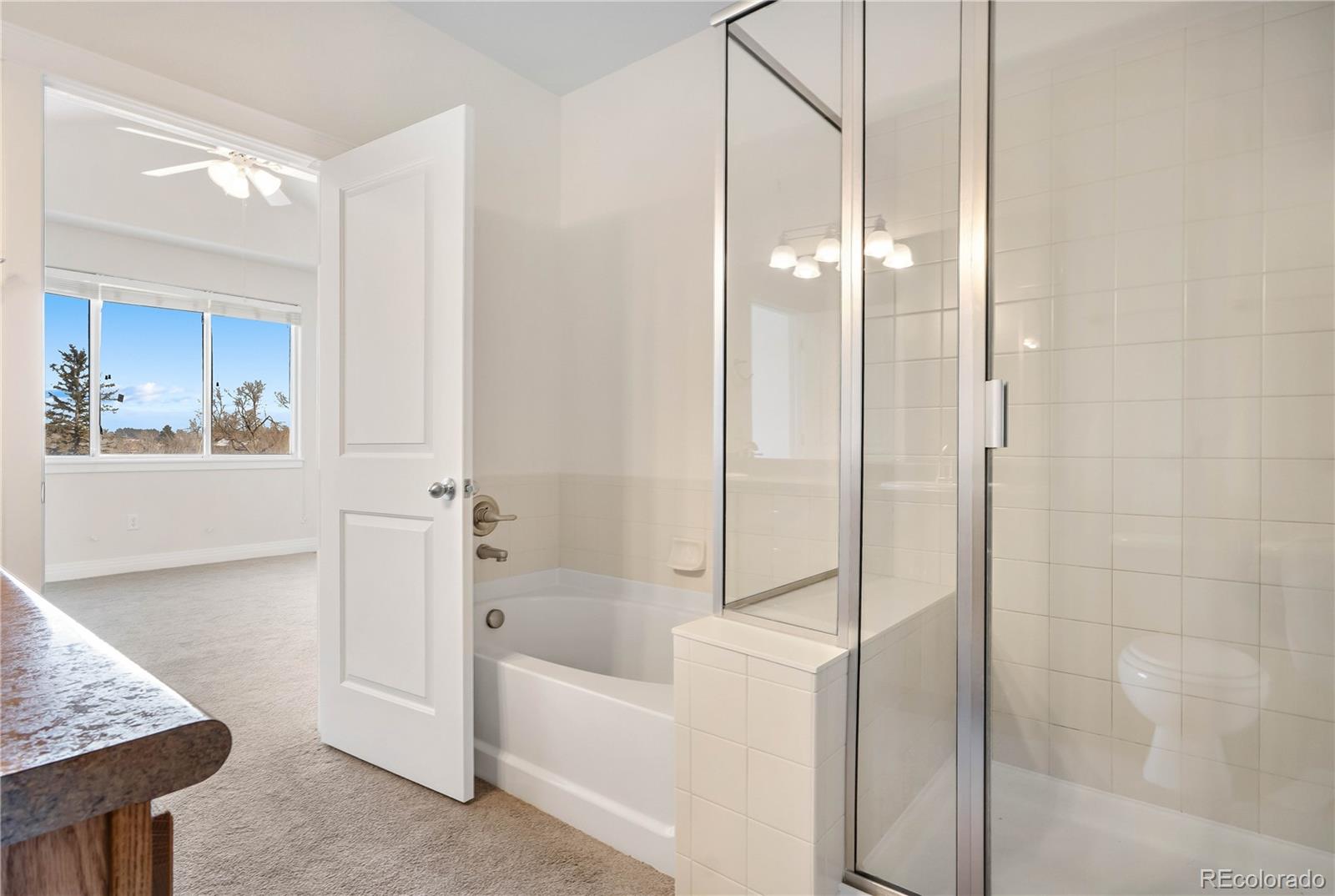 11167 Bryant Mews Denver CO 80234