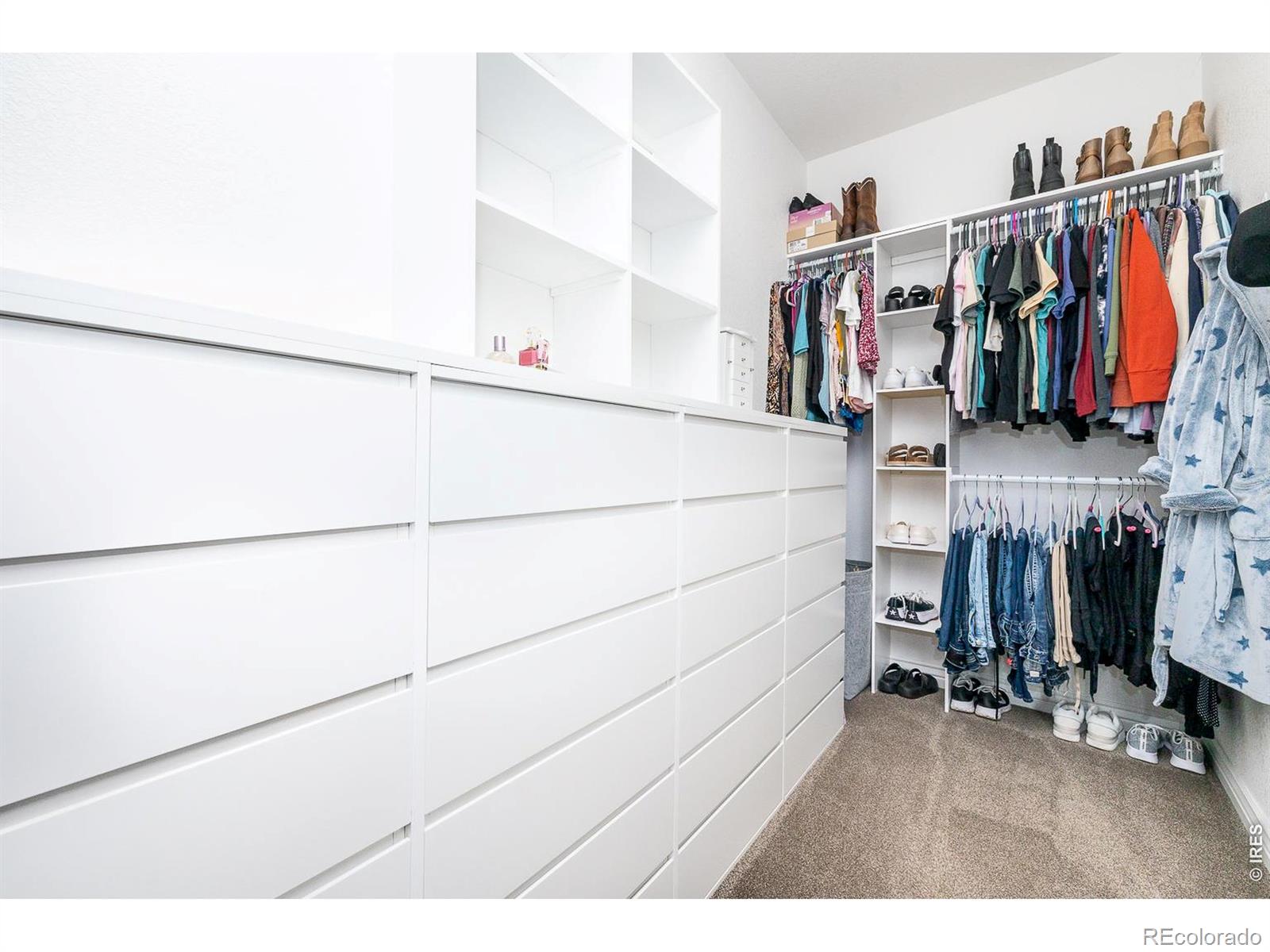 3050 Native Court Wellington CO 80549