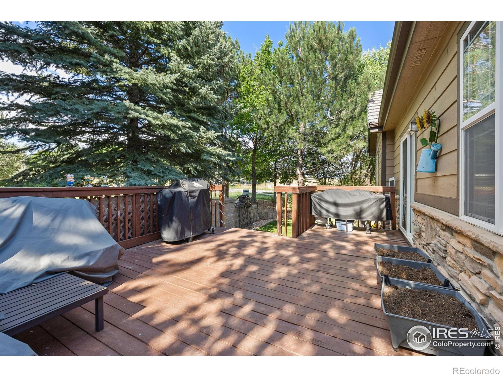7067 S Malaya Court Aurora CO 80016