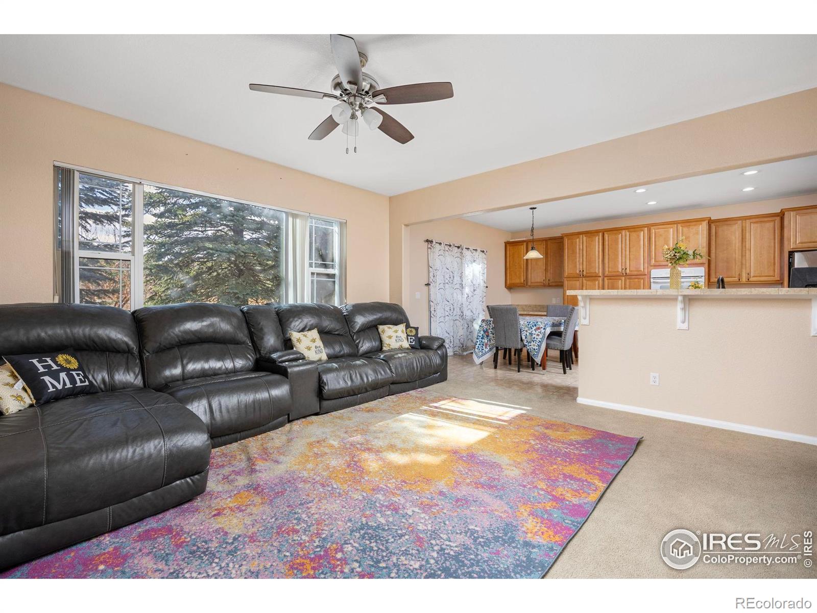 7067 S Malaya Court Aurora CO 80016