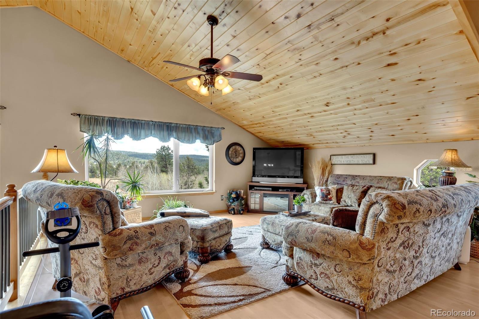 38 Kingston Drive Florissant CO 80816
