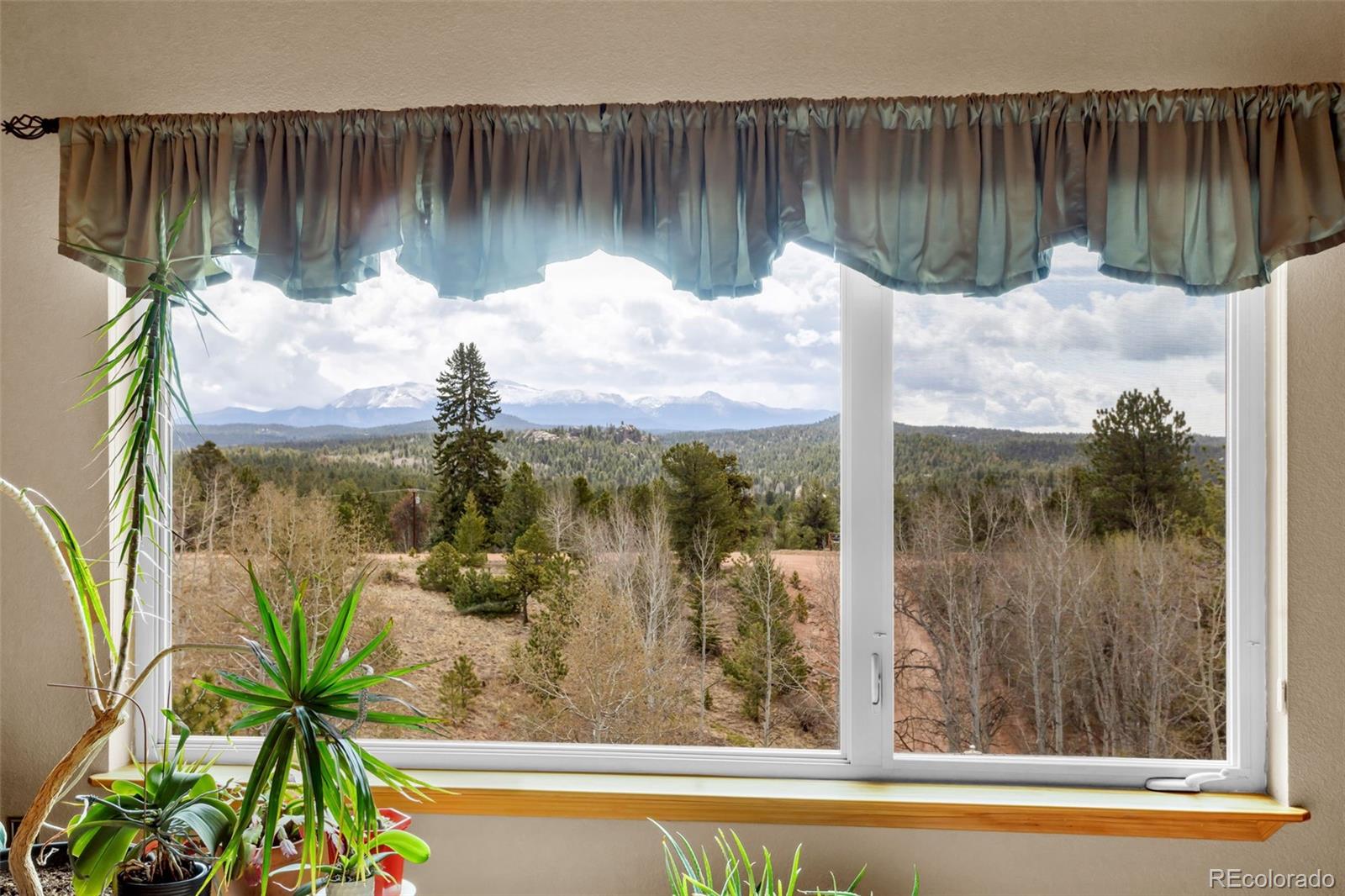 38 Kingston Drive Florissant CO 80816
