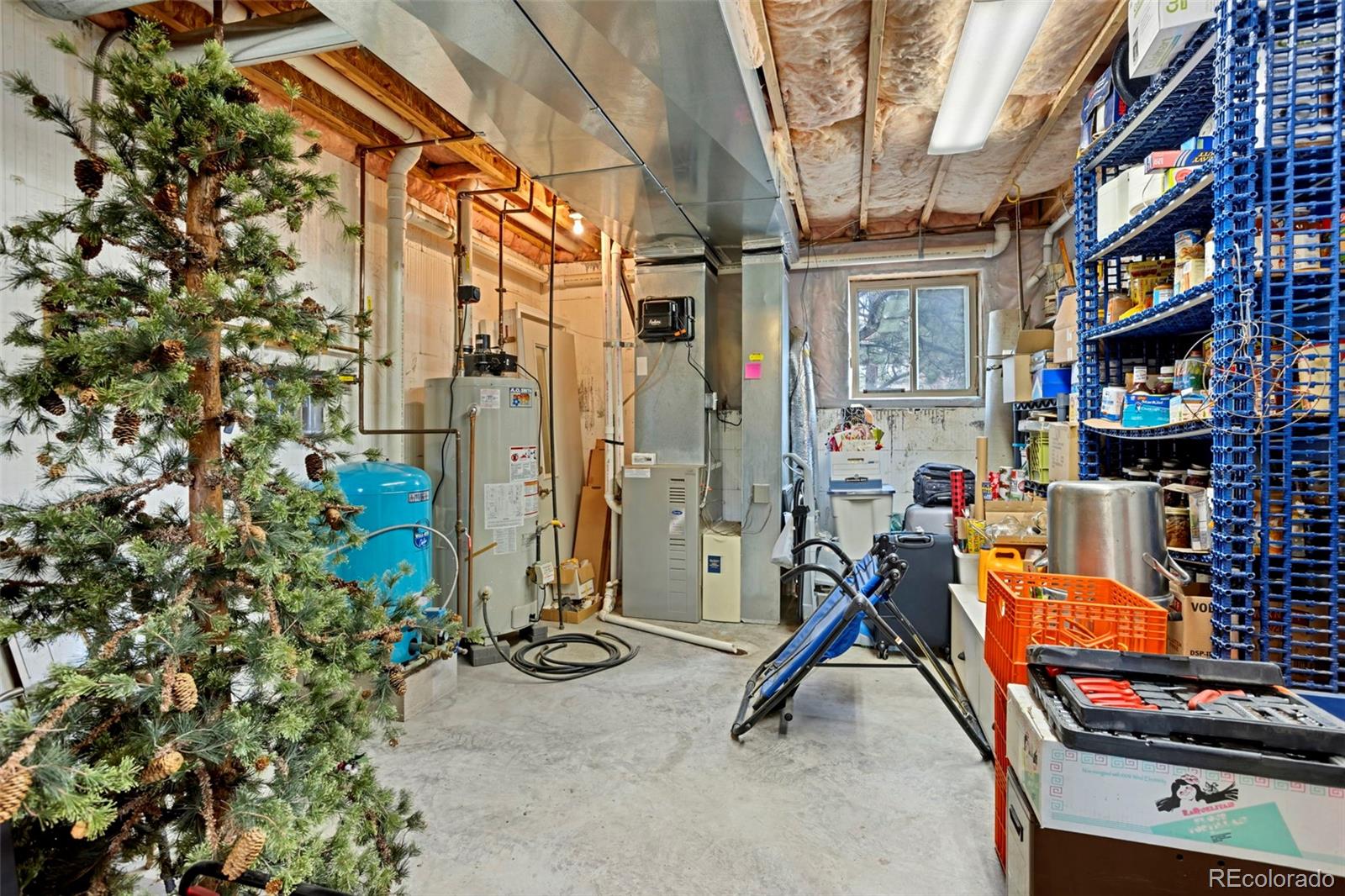38 Kingston Drive Florissant CO 80816