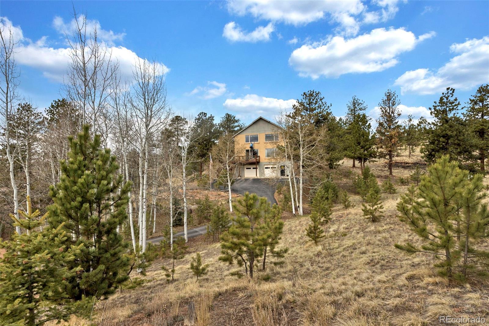 38 Kingston Drive Florissant CO 80816