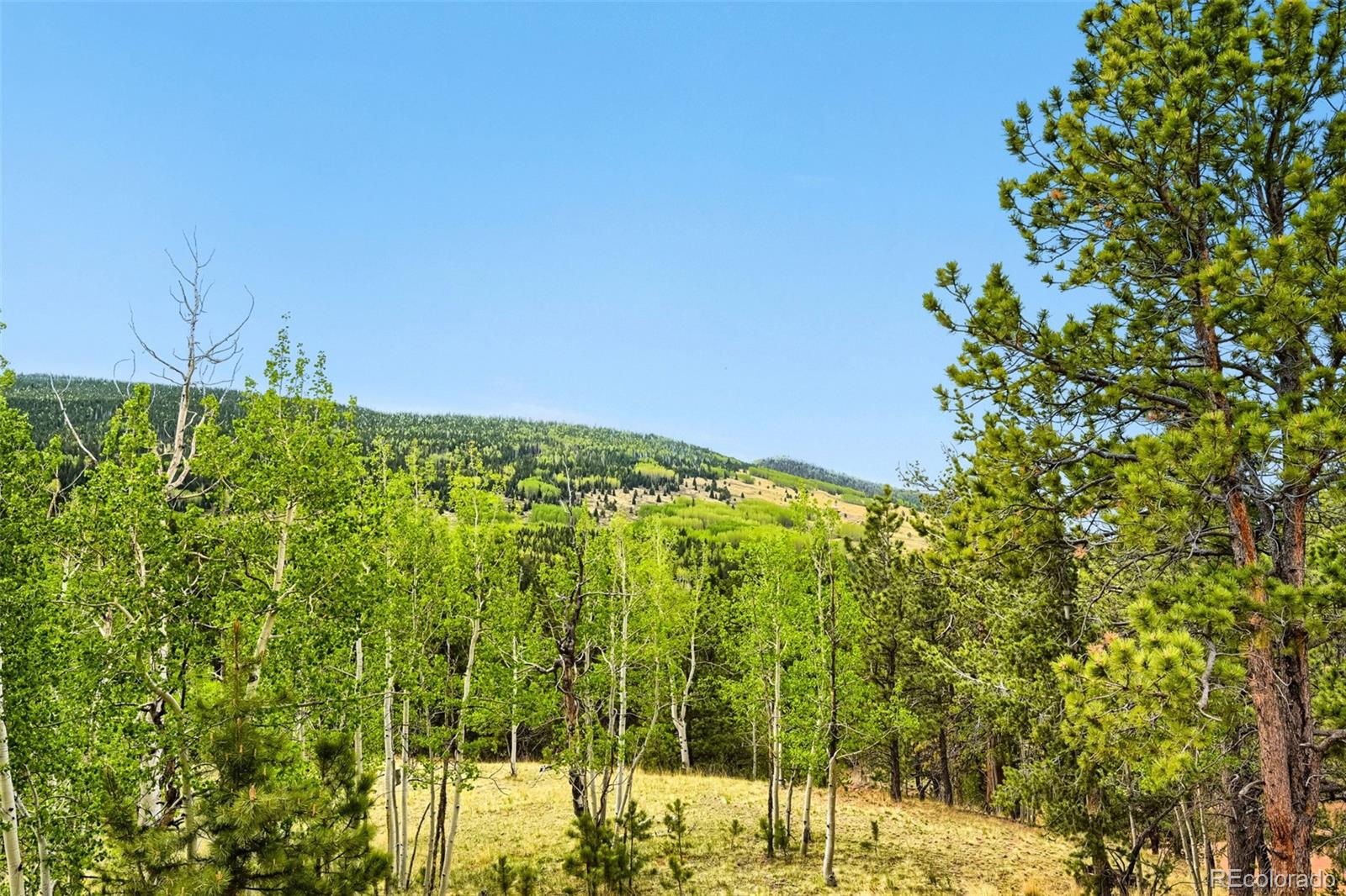 507 Yorktown Road Cripple Creek CO 80813