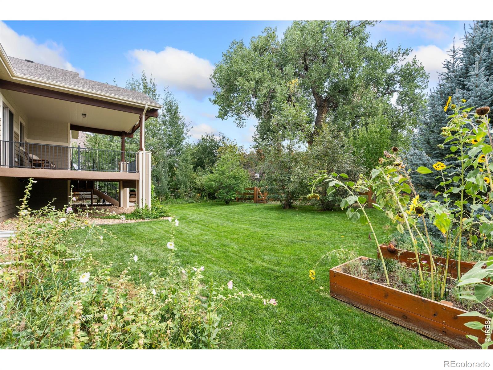 629 Deer Meadow Drive Loveland CO 80537