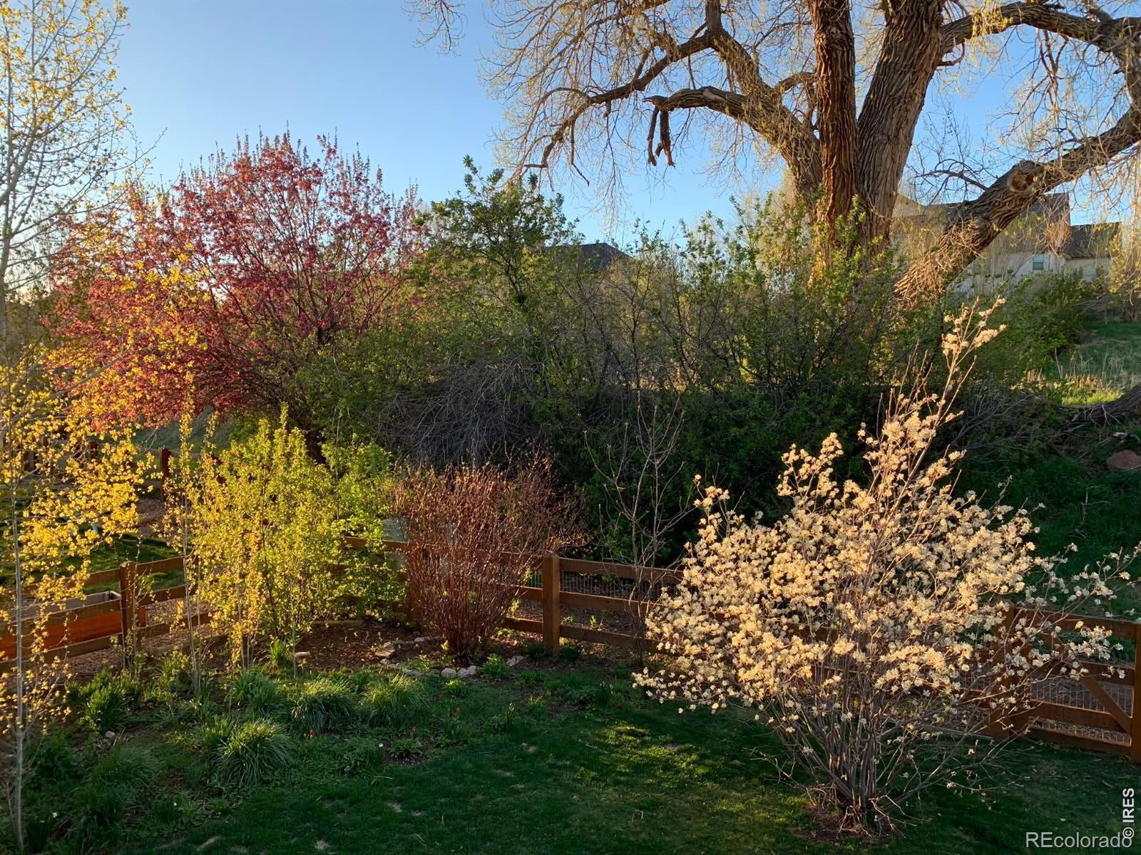 629 Deer Meadow Drive Loveland CO 80537