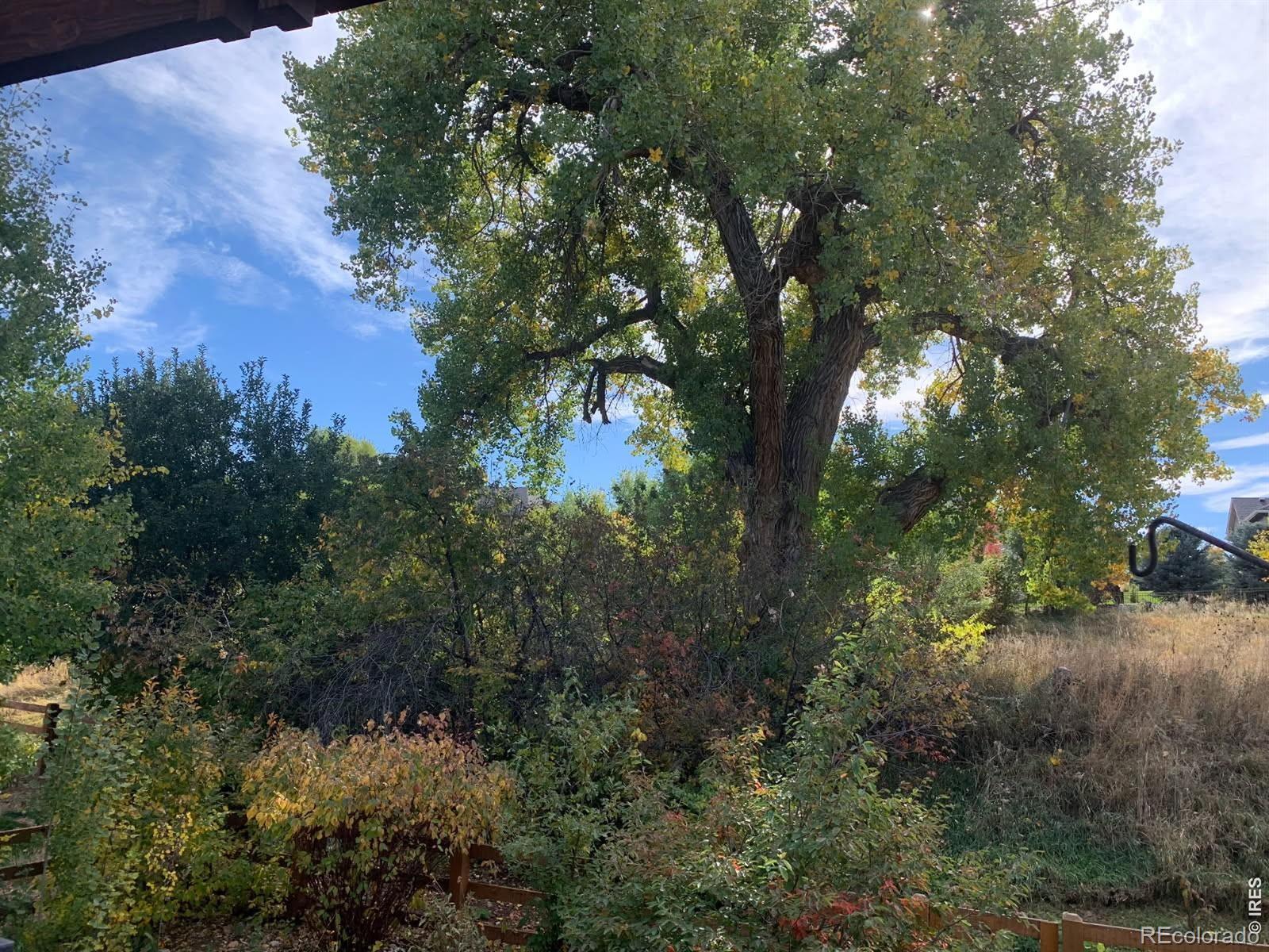 629 Deer Meadow Drive Loveland CO 80537