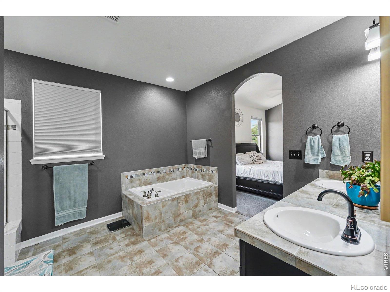 4530 Carmichael Court Brighton CO 80603