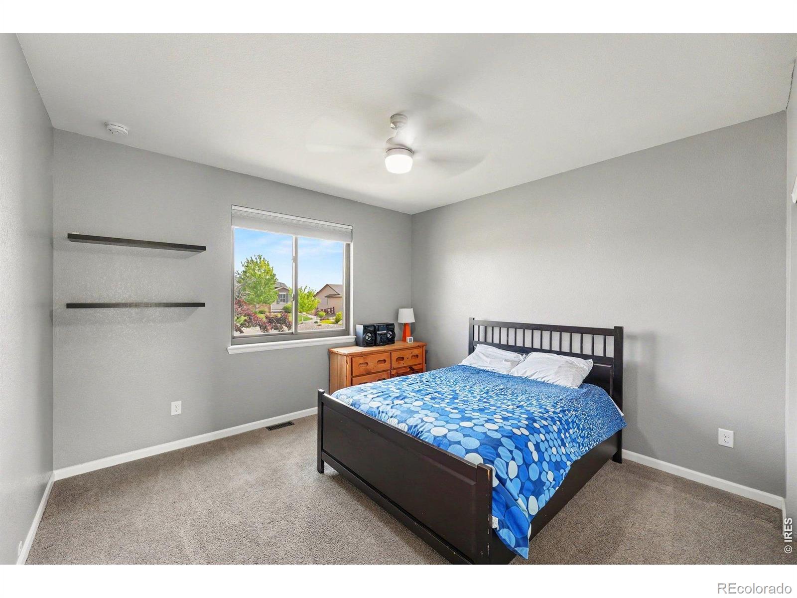 4530 Carmichael Court Brighton CO 80603