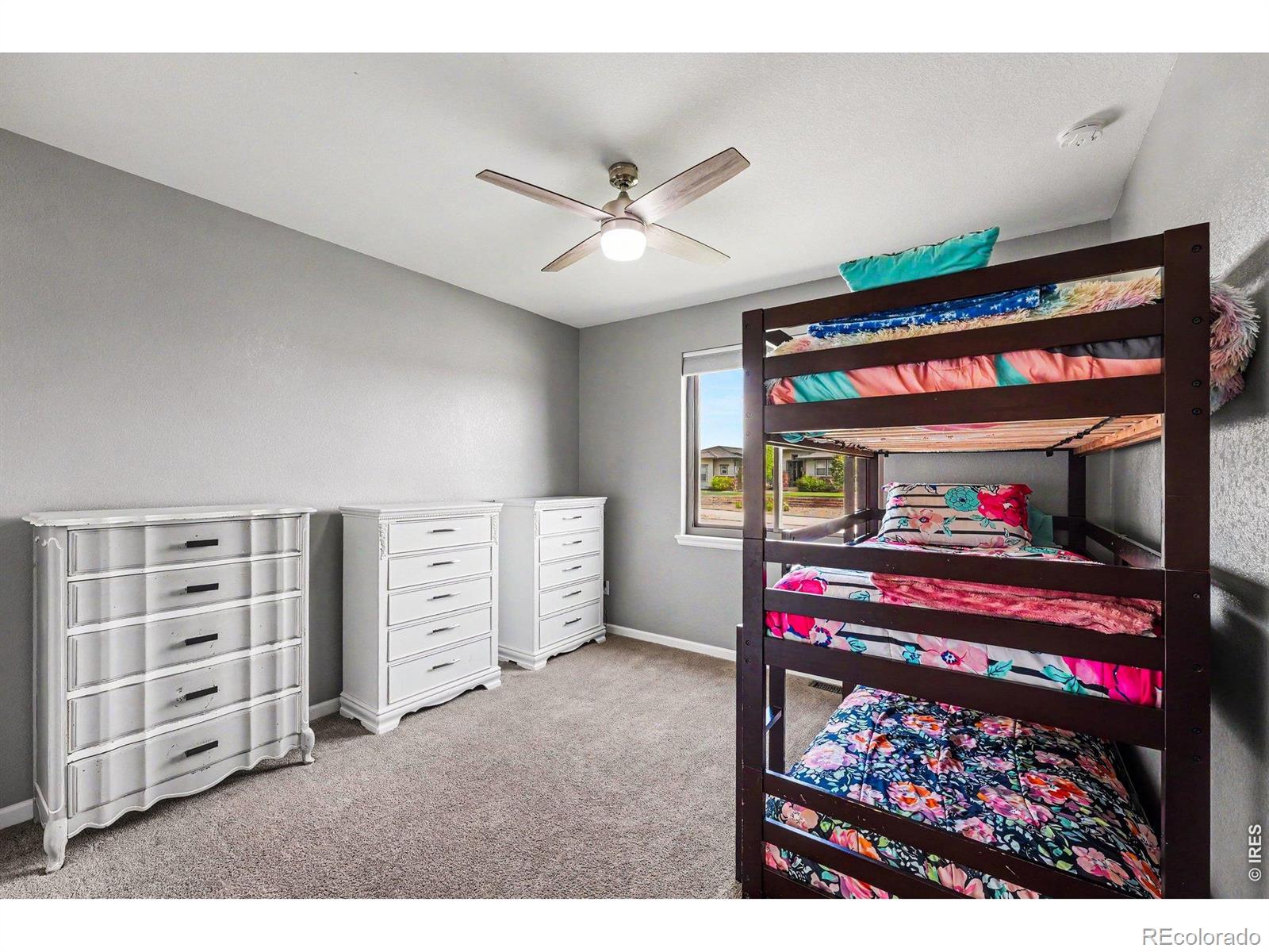 4530 Carmichael Court Brighton CO 80603