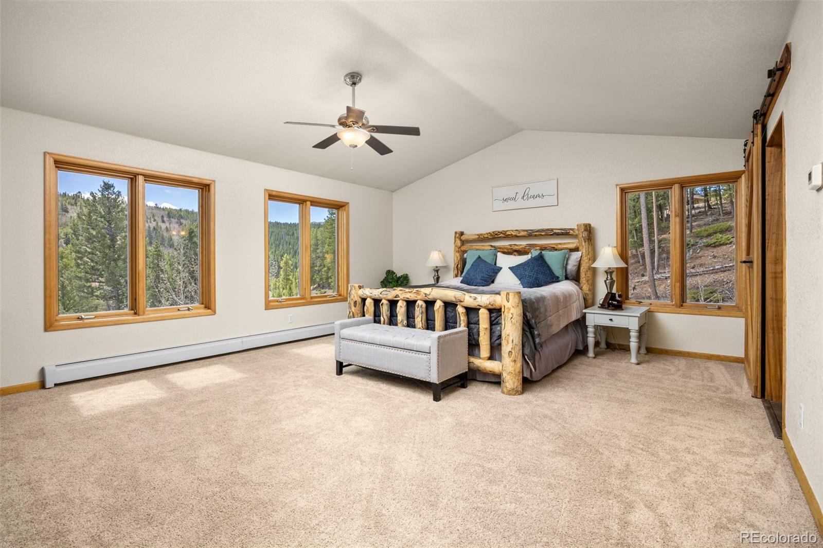 89 Carroll Court Black Hawk CO 80422