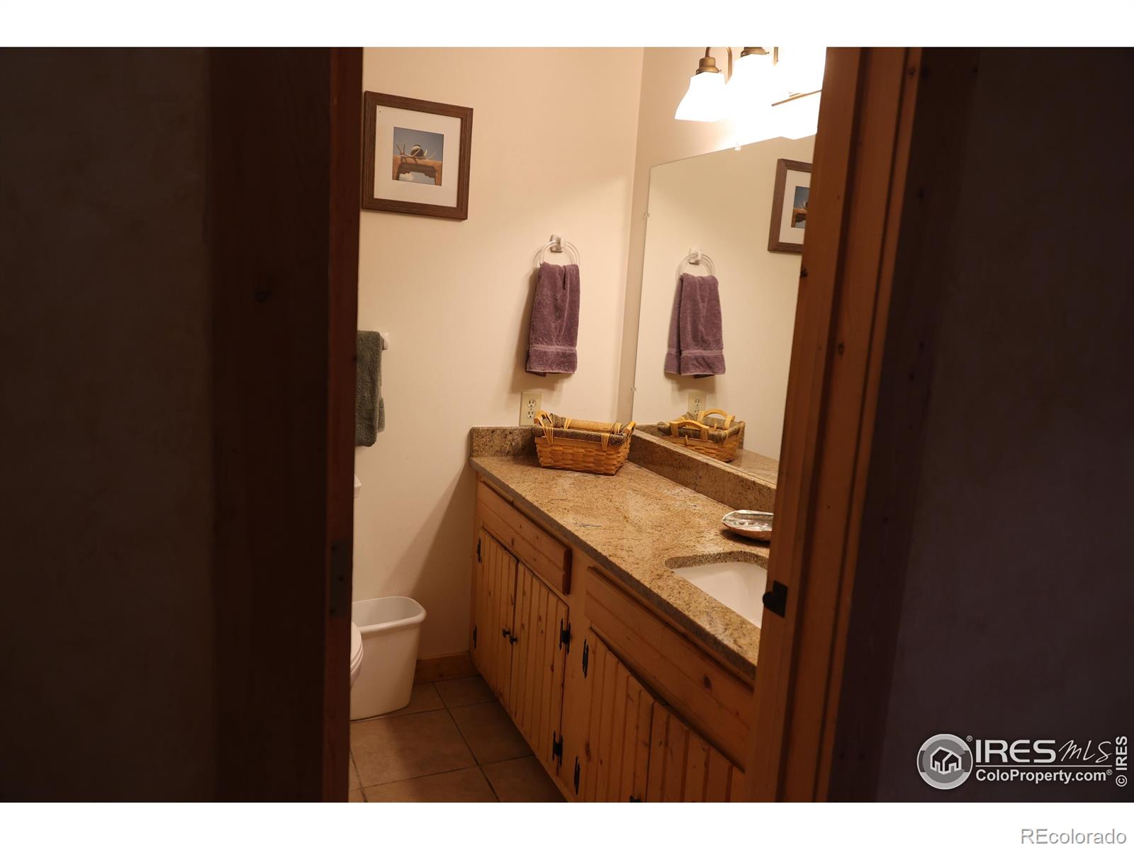 254 Arrowood Drive Lyons CO 80540