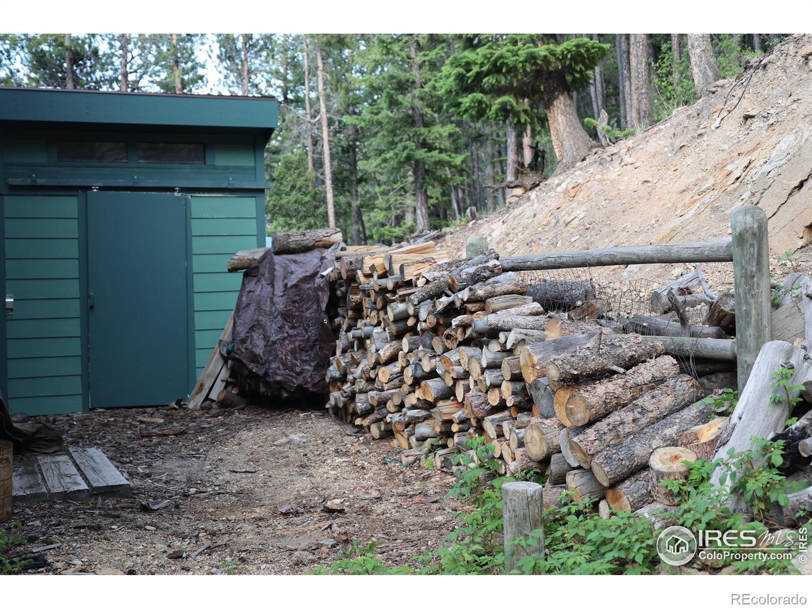 254 Arrowood Drive Lyons CO 80540