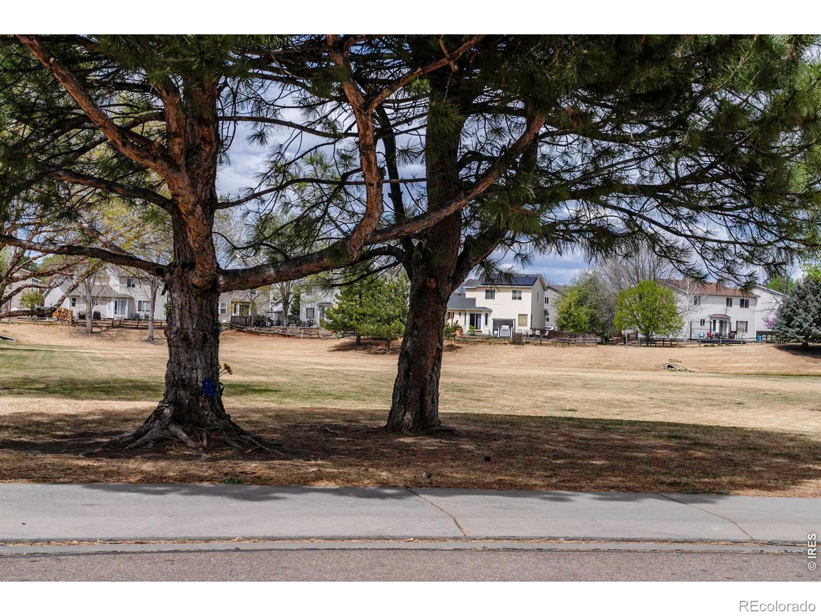 1327 Wilkerson Way Longmont CO 80504