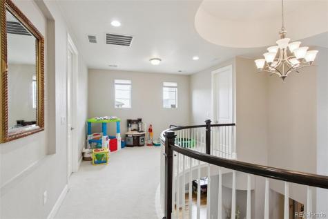 10560 Ladera Drive Lone Tree CO 80124