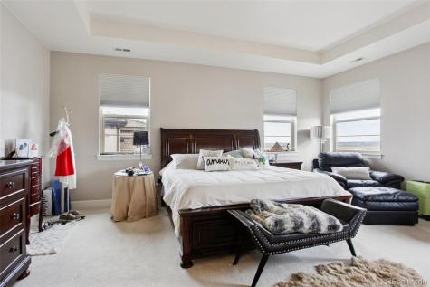 10560 Ladera Drive Lone Tree CO 80124