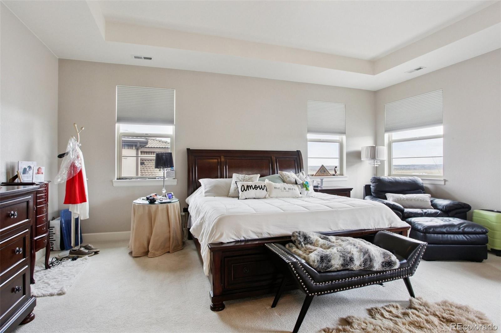 10560 Ladera Drive Lone Tree CO 80124
