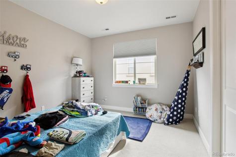 10560 Ladera Drive Lone Tree CO 80124