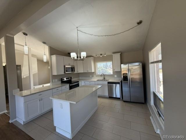 5674 W Chestnut Avenue Littleton CO 80128