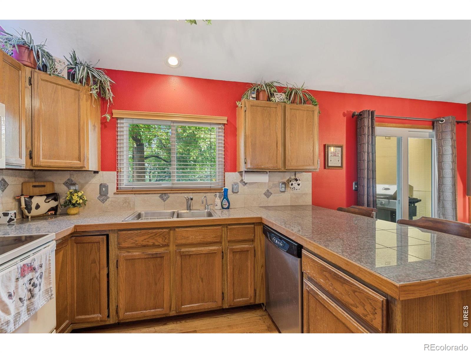 2956 Querida Street Fort Collins CO 80526