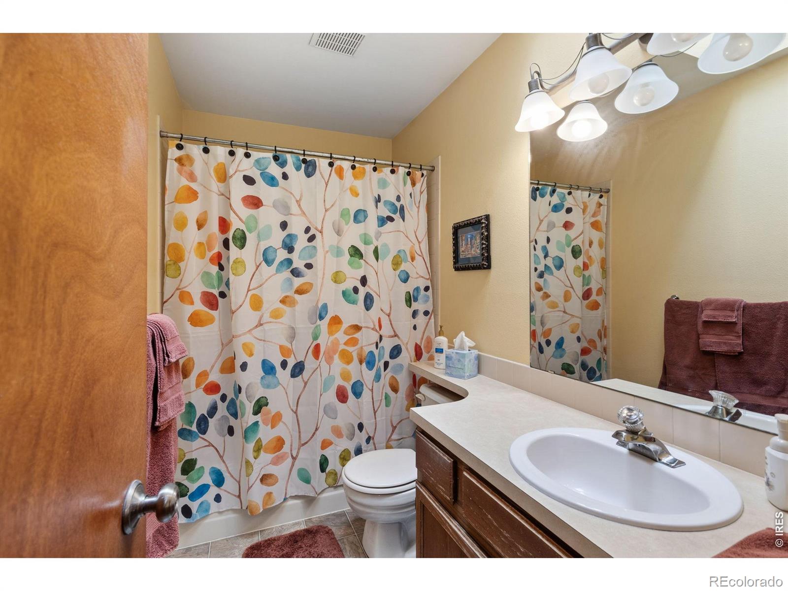 2956 Querida Street Fort Collins CO 80526