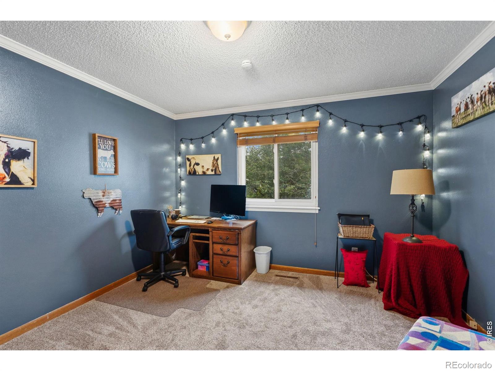 2956 Querida Street Fort Collins CO 80526