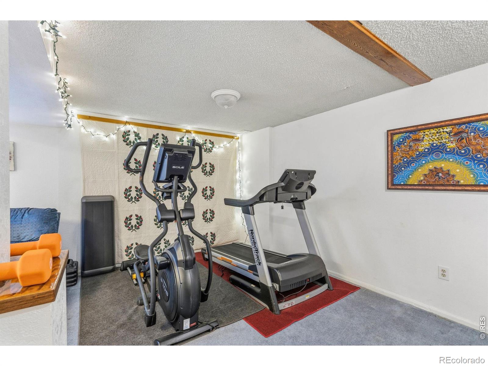 2956 Querida Street Fort Collins CO 80526