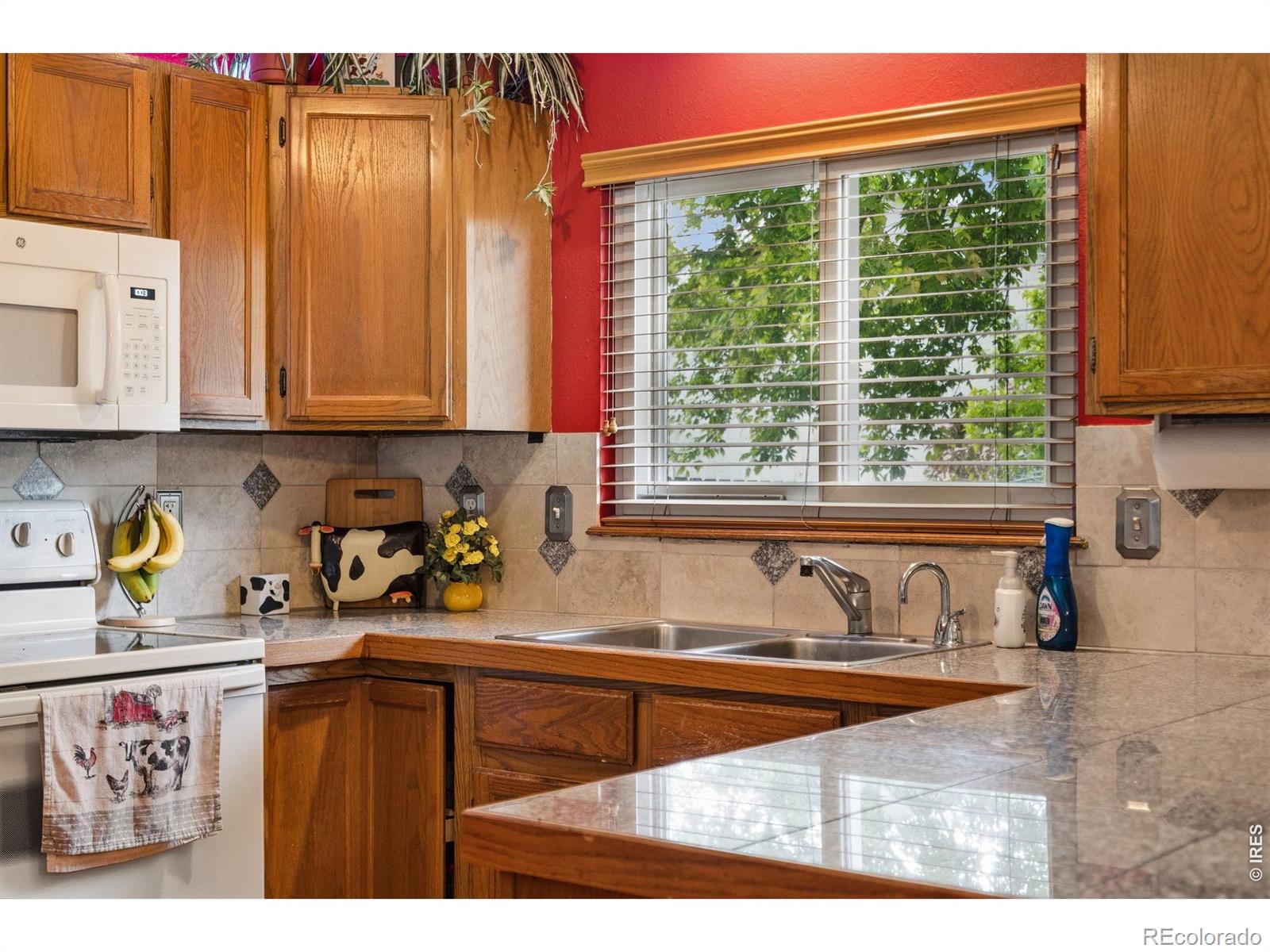 2956 Querida Street Fort Collins CO 80526