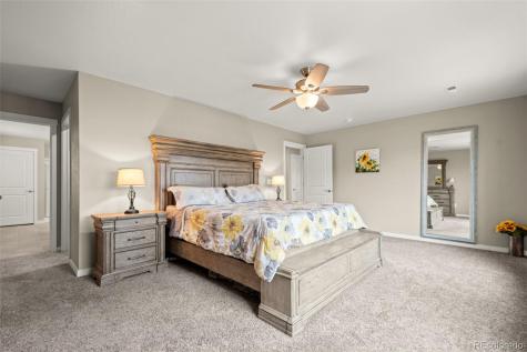 14075 Scarlet Sage Street Parker CO 80134