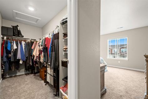 14075 Scarlet Sage Street Parker CO 80134