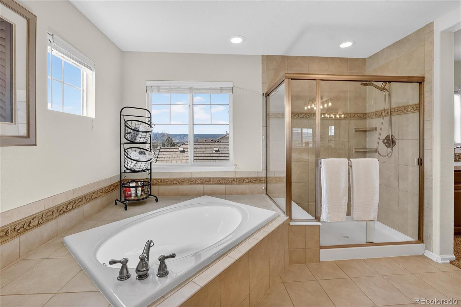 4945 Persimmon Lane Castle Rock CO 80109