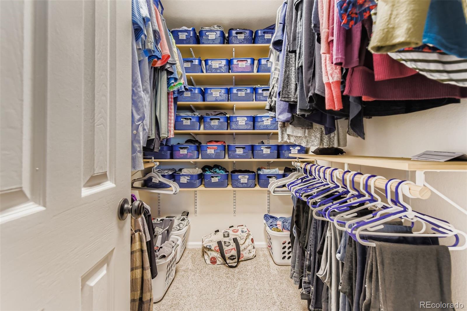 10282 Woodrose Court Highlands Ranch CO 80129