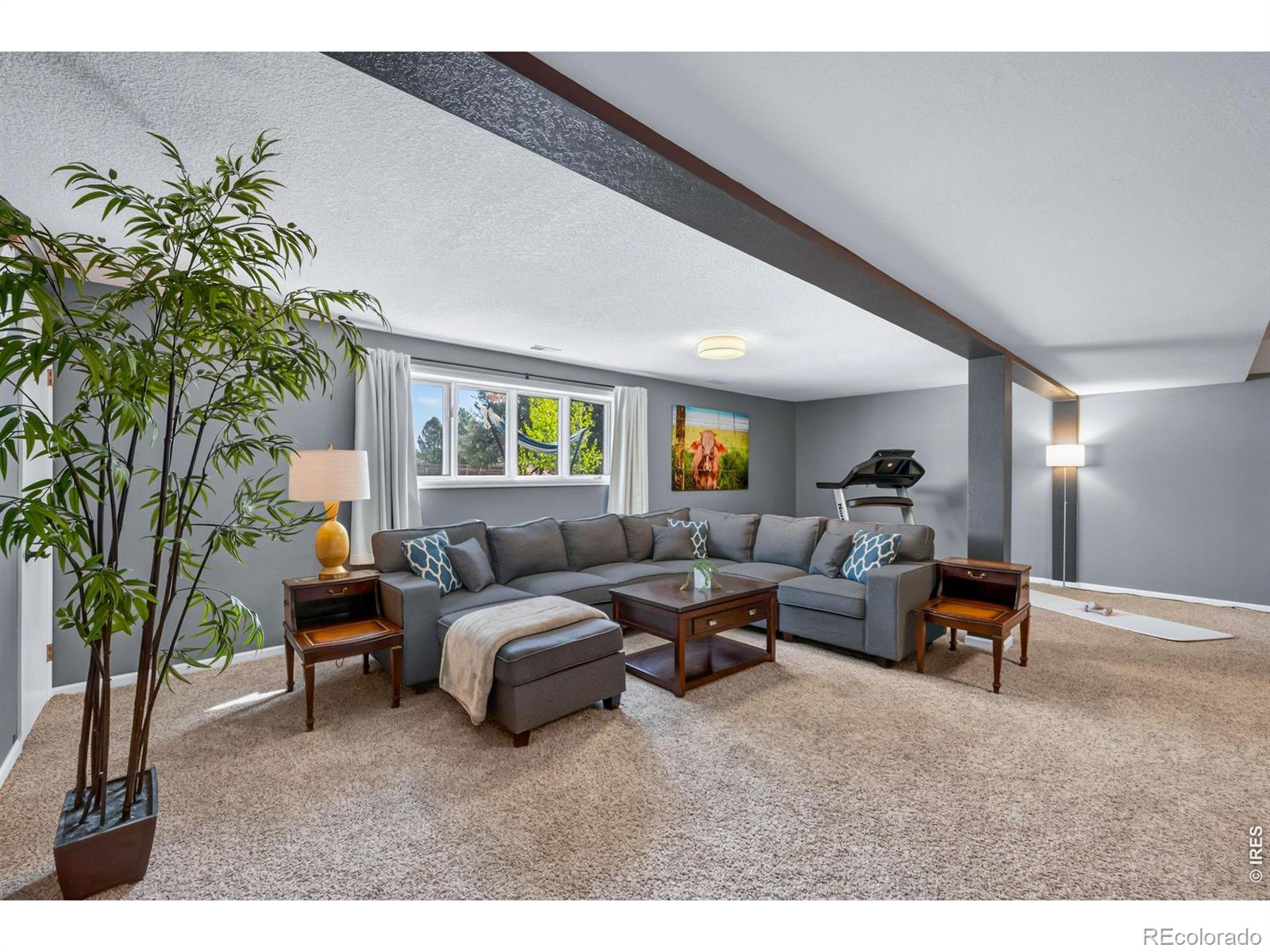 4312 Whippeny Drive Fort Collins CO 80526