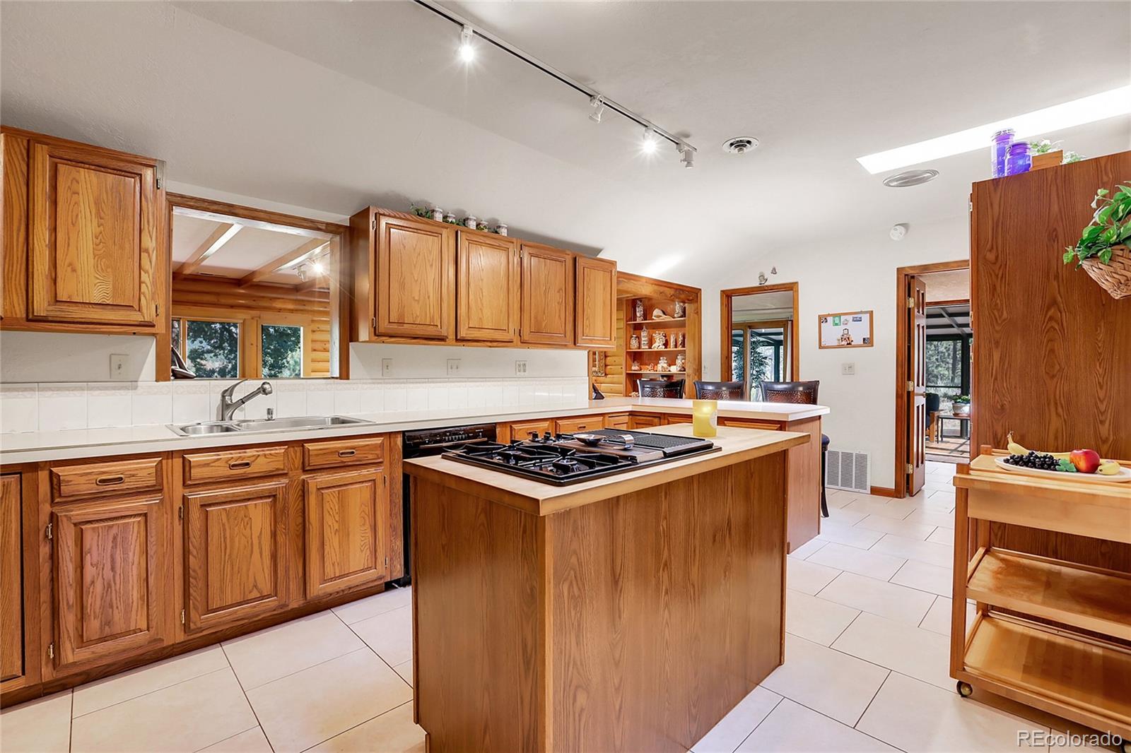 13009 S Parker Avenue Pine CO 80470