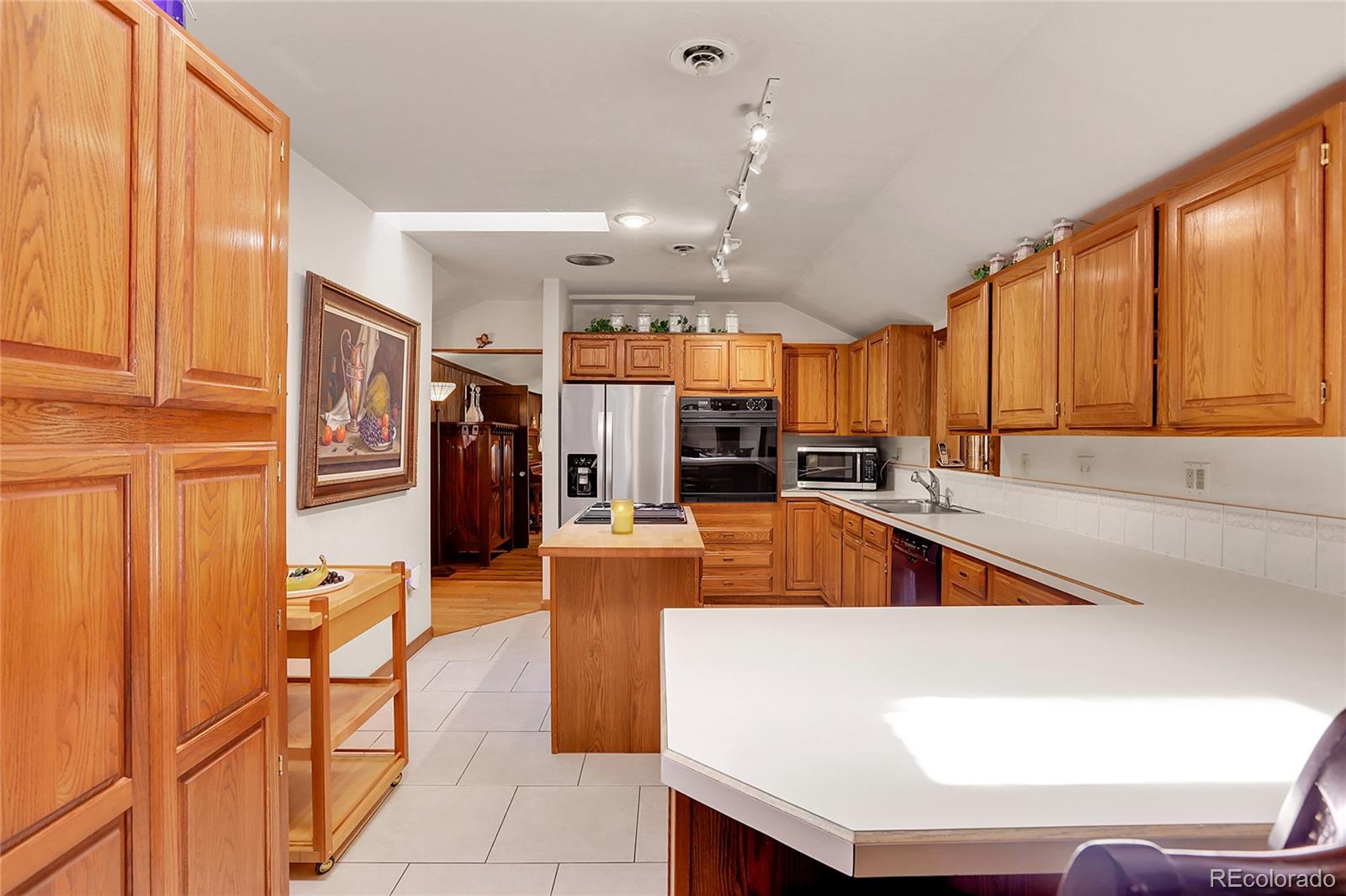 13009 S Parker Avenue Pine CO 80470