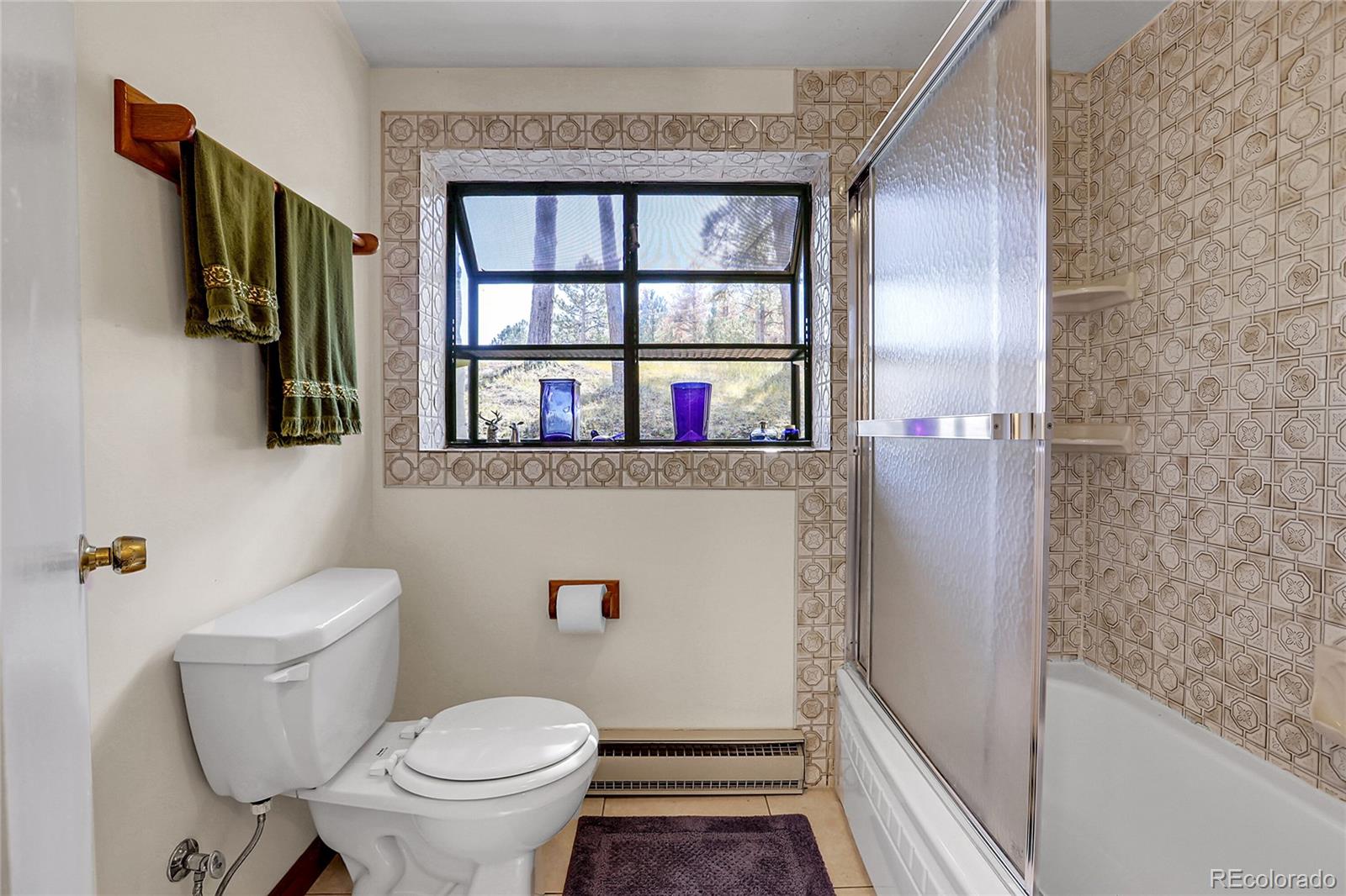 13009 S Parker Avenue Pine CO 80470