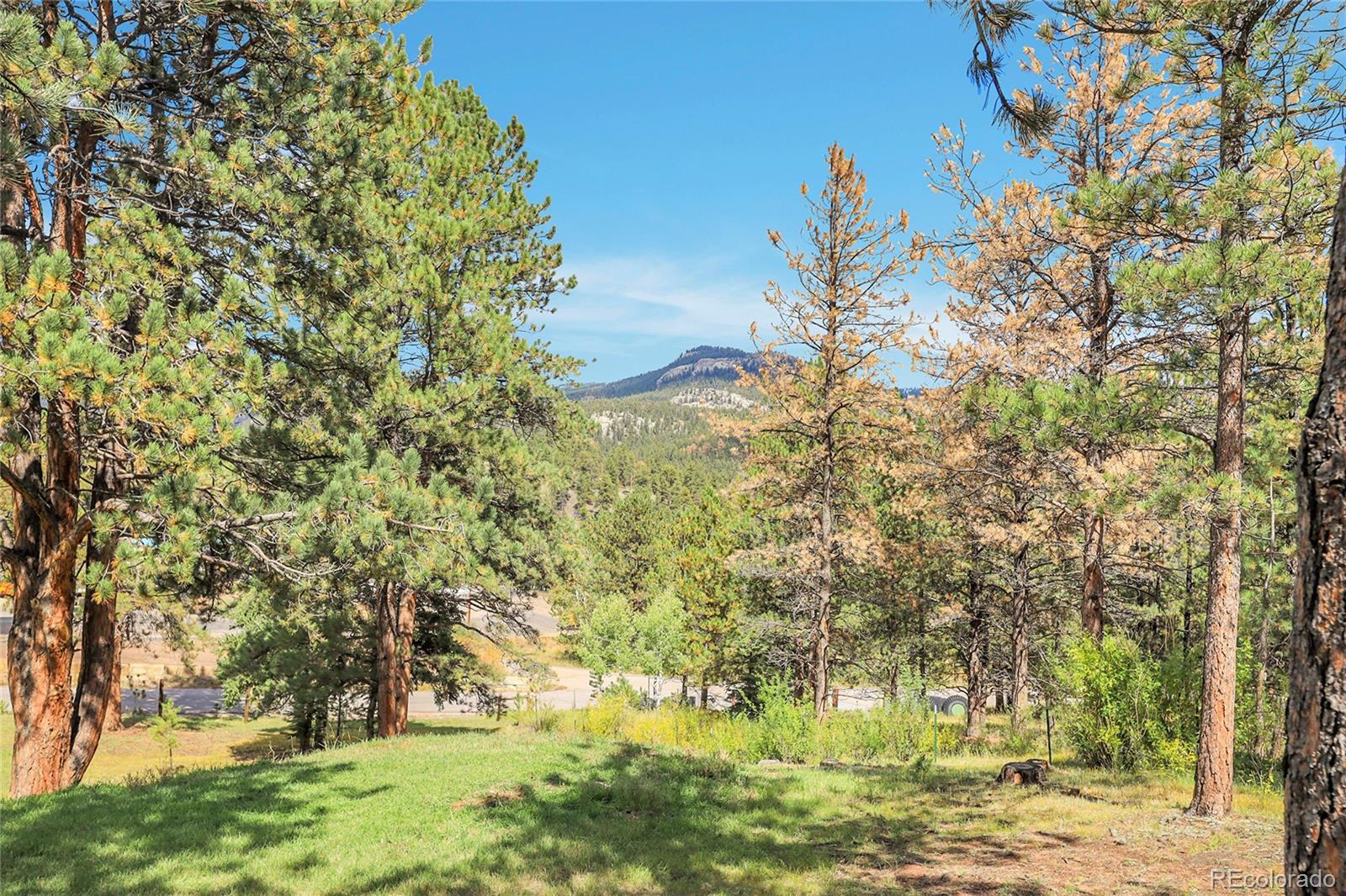 13009 S Parker Avenue Pine CO 80470