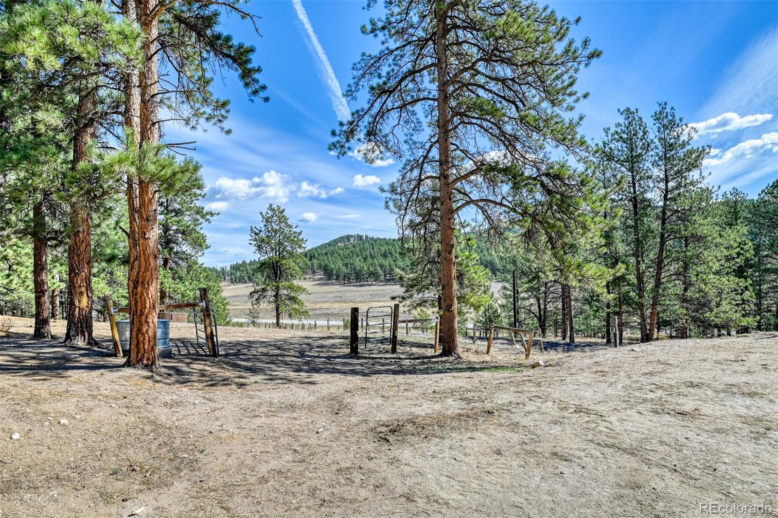 37081 County Road 77 Lake George CO 80827