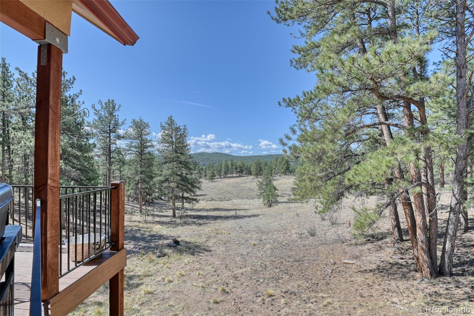 37081 County Road 77 Lake George CO 80827