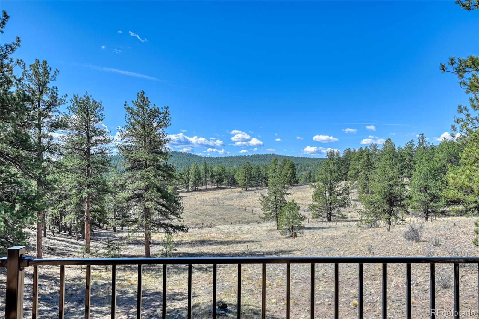 37081 County Road 77 Lake George CO 80827