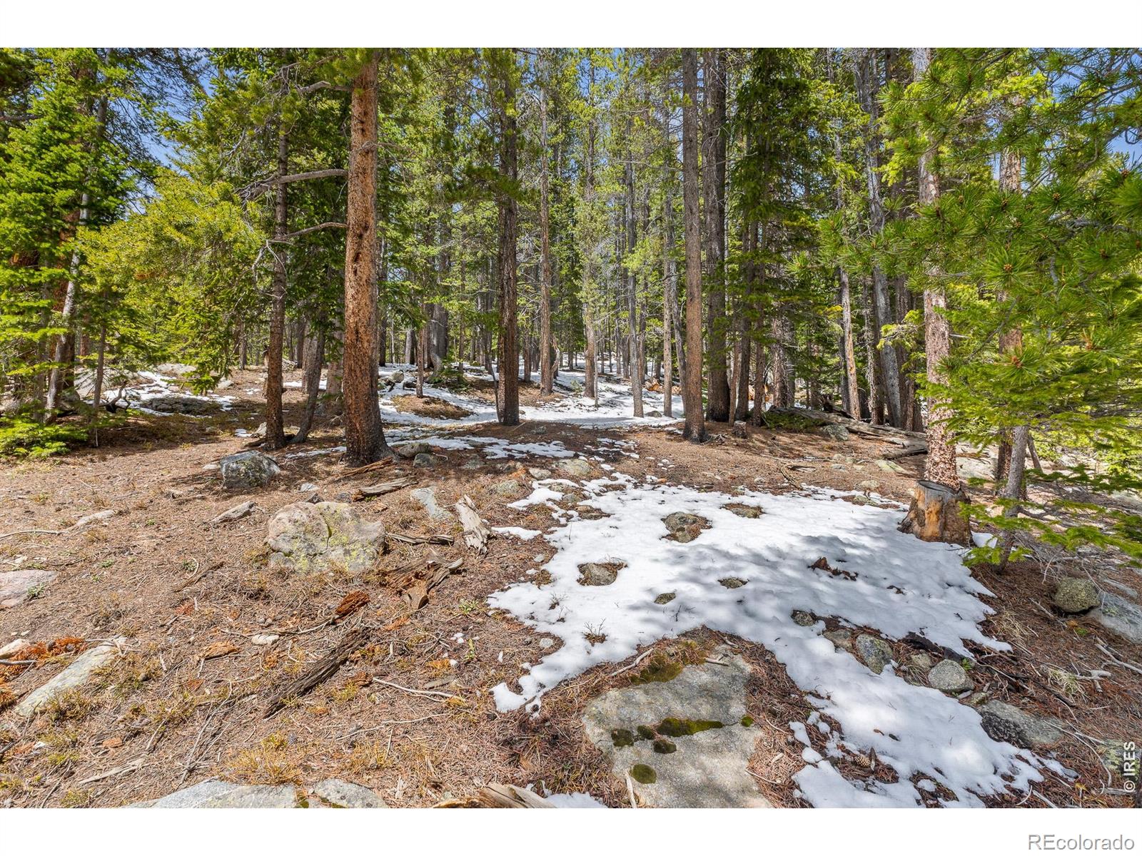 218 Brook Drive Idaho Springs CO 80452