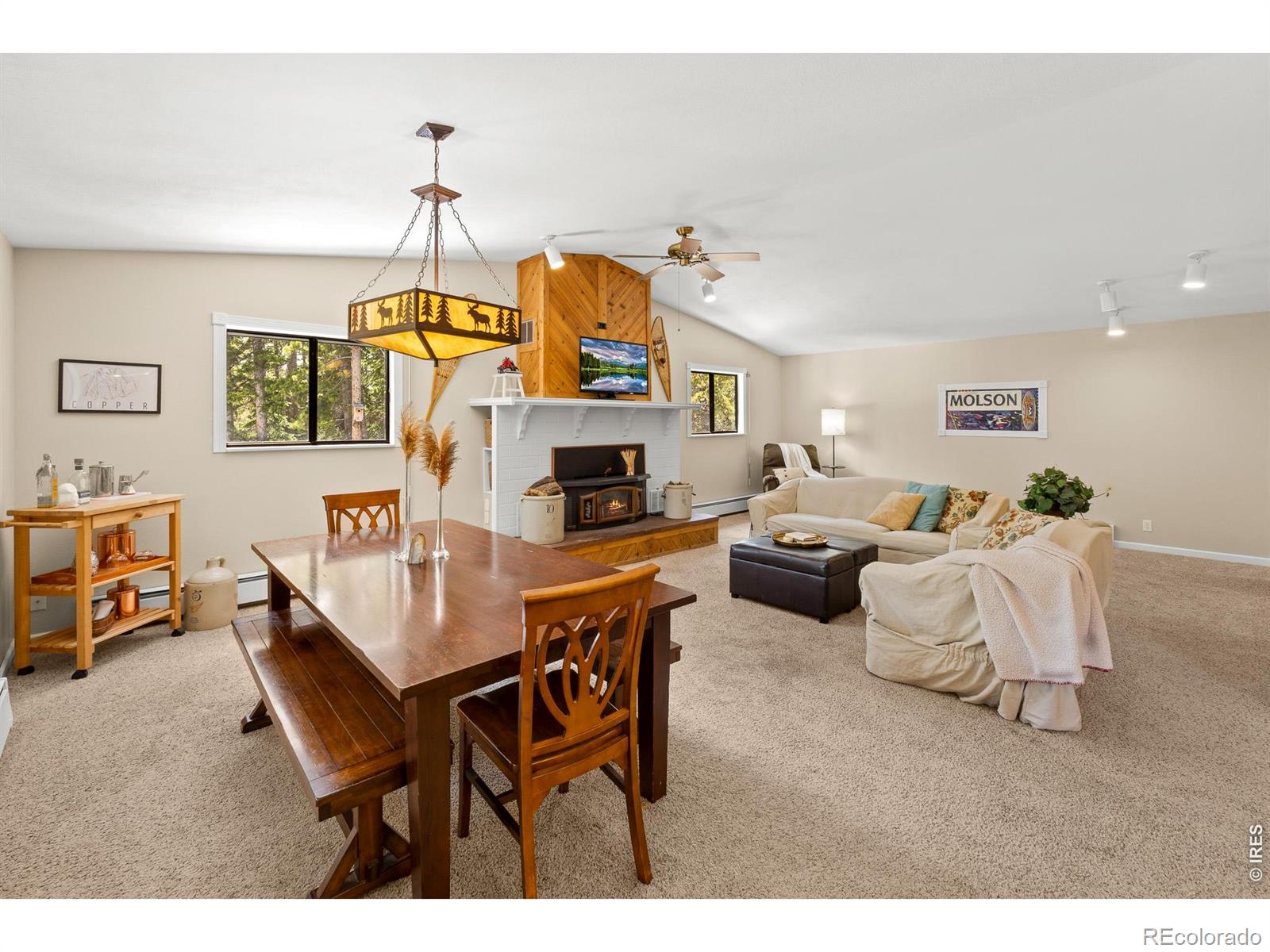 218 Brook Drive Idaho Springs CO 80452