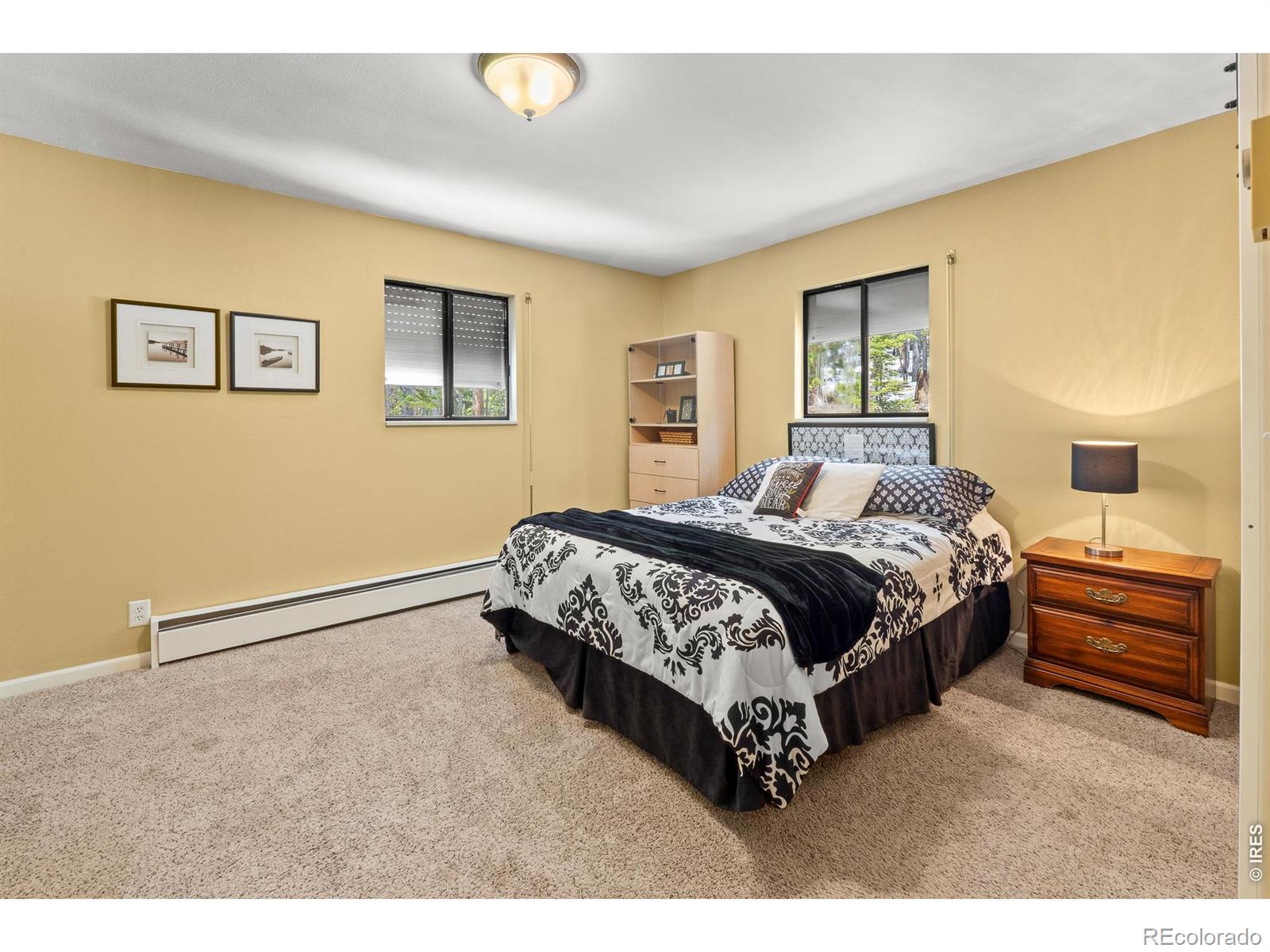 218 Brook Drive Idaho Springs CO 80452