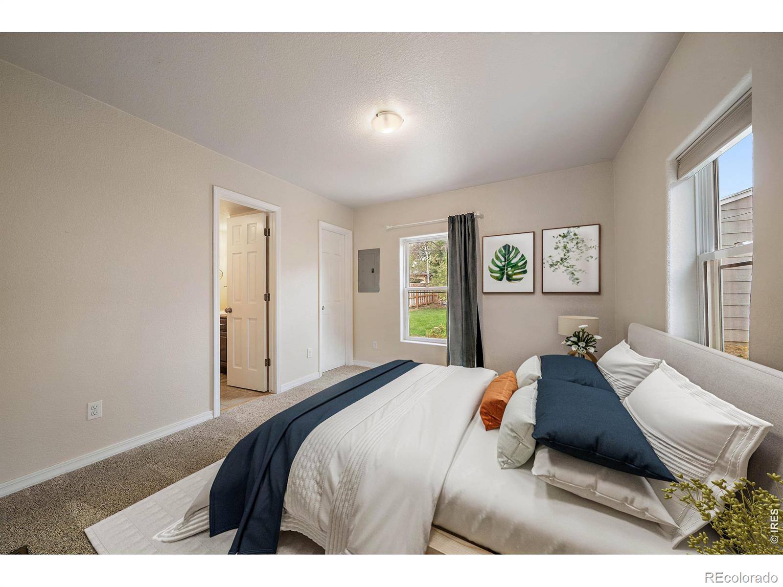 36 Reed Place Longmont CO 80504