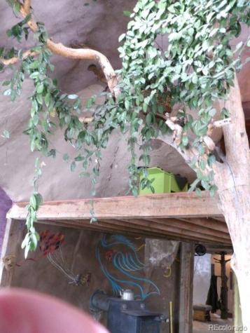 1640 Willow Creek Way Crestone CO 81131