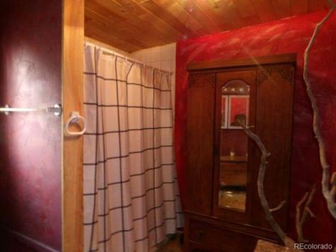 1640 Willow Creek Way Crestone CO 81131