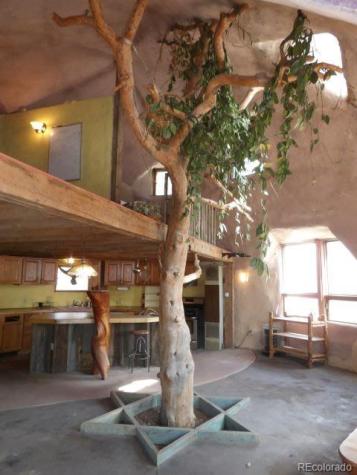 1640 Willow Creek Way Crestone CO 81131