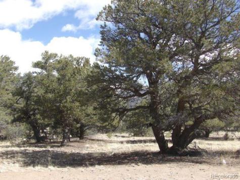 1640 Willow Creek Way Crestone CO 81131