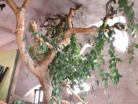 1640 Willow Creek Way Crestone CO 81131